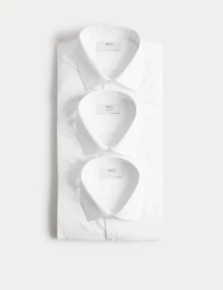2 Inch Shorter 3 Pack Slim Fit Easy Iron Long Sleeve Shirts