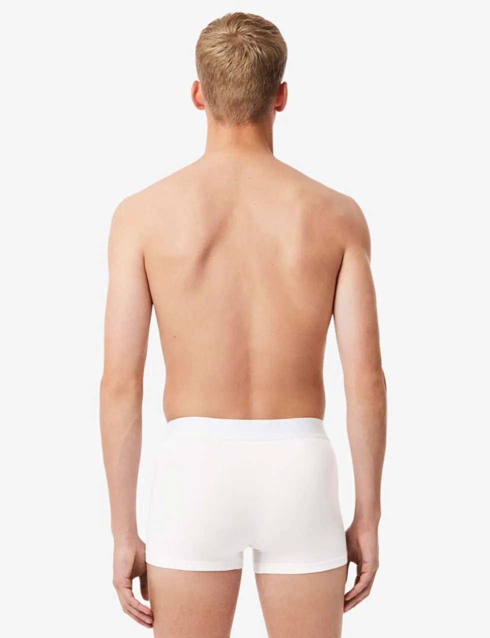 3 Pack Cotton Rich Jersey Trunks