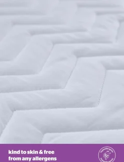 2 Pack Deep Sleep Mattress Protectors