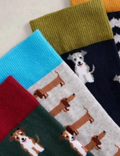 4 Pack Novelty Dog Cotton Rich Ankle Socks
