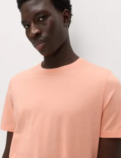 5 Pack Pure Cotton Crew Neck T-Shirts