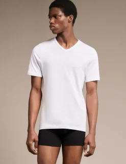 3 Pack Pure Cotton V-Neck T-Shirts
