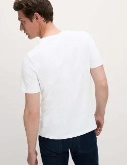 3 Pack Pure Cotton V-Neck T-Shirts