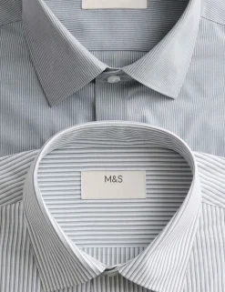 2 Pack Regular Fit Easy Iron Striped Shirts