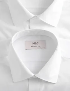 2 Pack Regular Fit Easy Iron Shirts