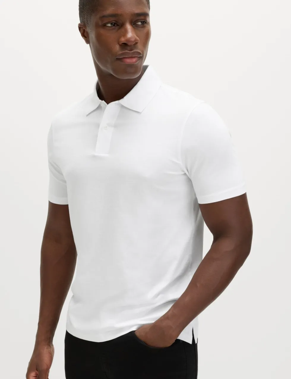 2 Pack Regular Fit Pure Cotton Polo Shirts