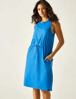 Amorie Cotton Rich Knee Length Waisted Dress