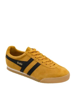 Apollo Suede Trainers