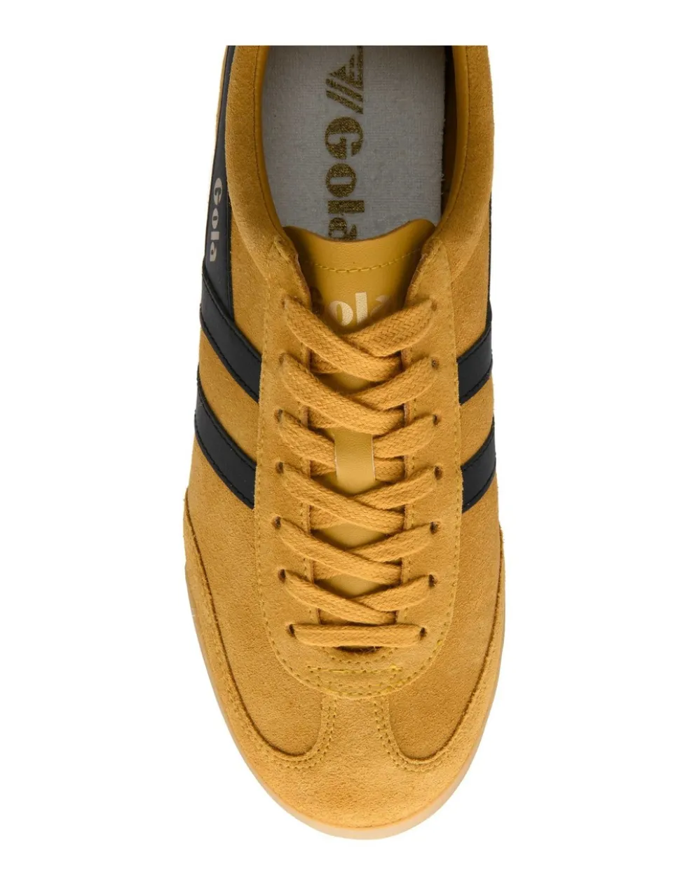 Apollo Suede Trainers
