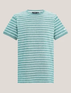 Benlin Pure Cotton Striped T-Shirt