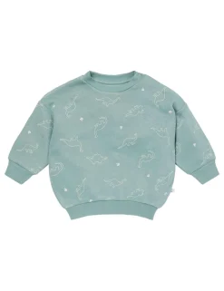 Cotton Blend Dinosaur Sweatshirt (3 Mths-5 Yrs)