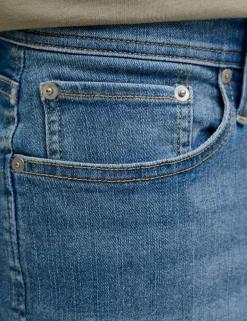 Cotton Rich Denim Shorts