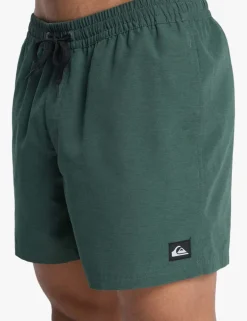 Everyday Jam/Volley Swim Shorts