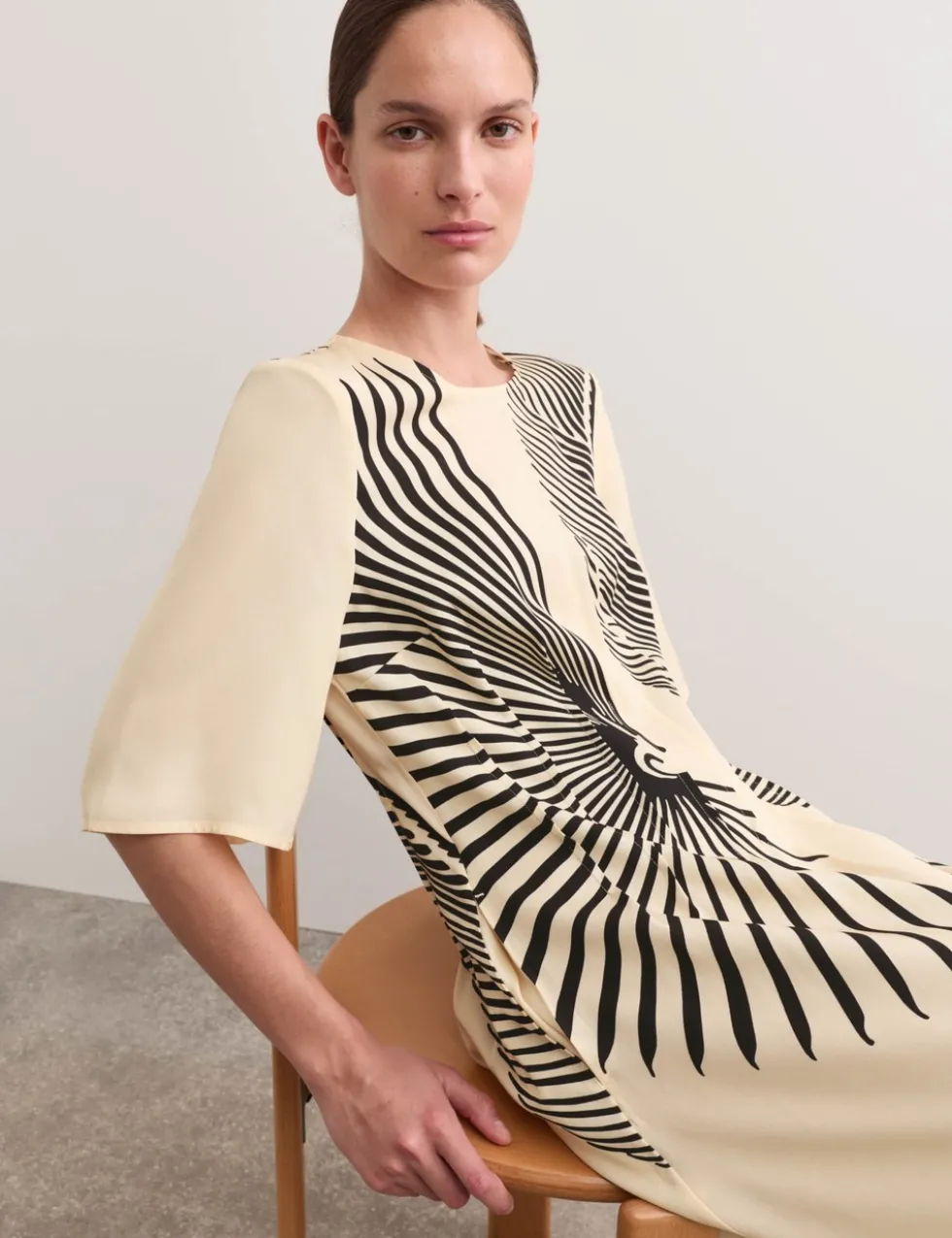 Fan Print Midi Dress