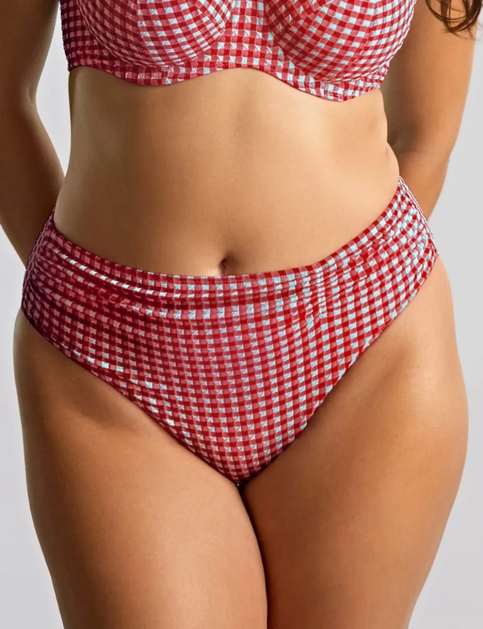 Gingham Textured Ruched Bikini Bottoms