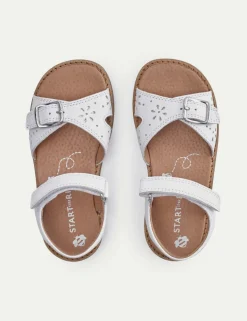 Kids' Schoolwear Leather Riptape Sandals (7 Small - 1½ Large)