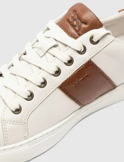 Leather Lace Up Trainers