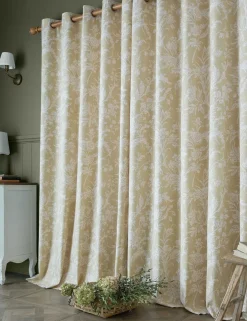 Lloyd Pure Cotton Eyelet Curtains