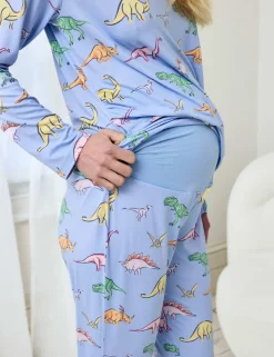 Maternity Dinosaur Print Pyjama Set
