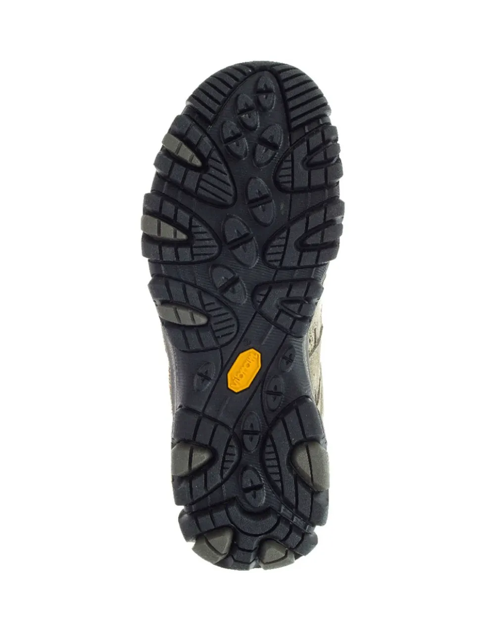 Moab 3 Leather Walking Shoes