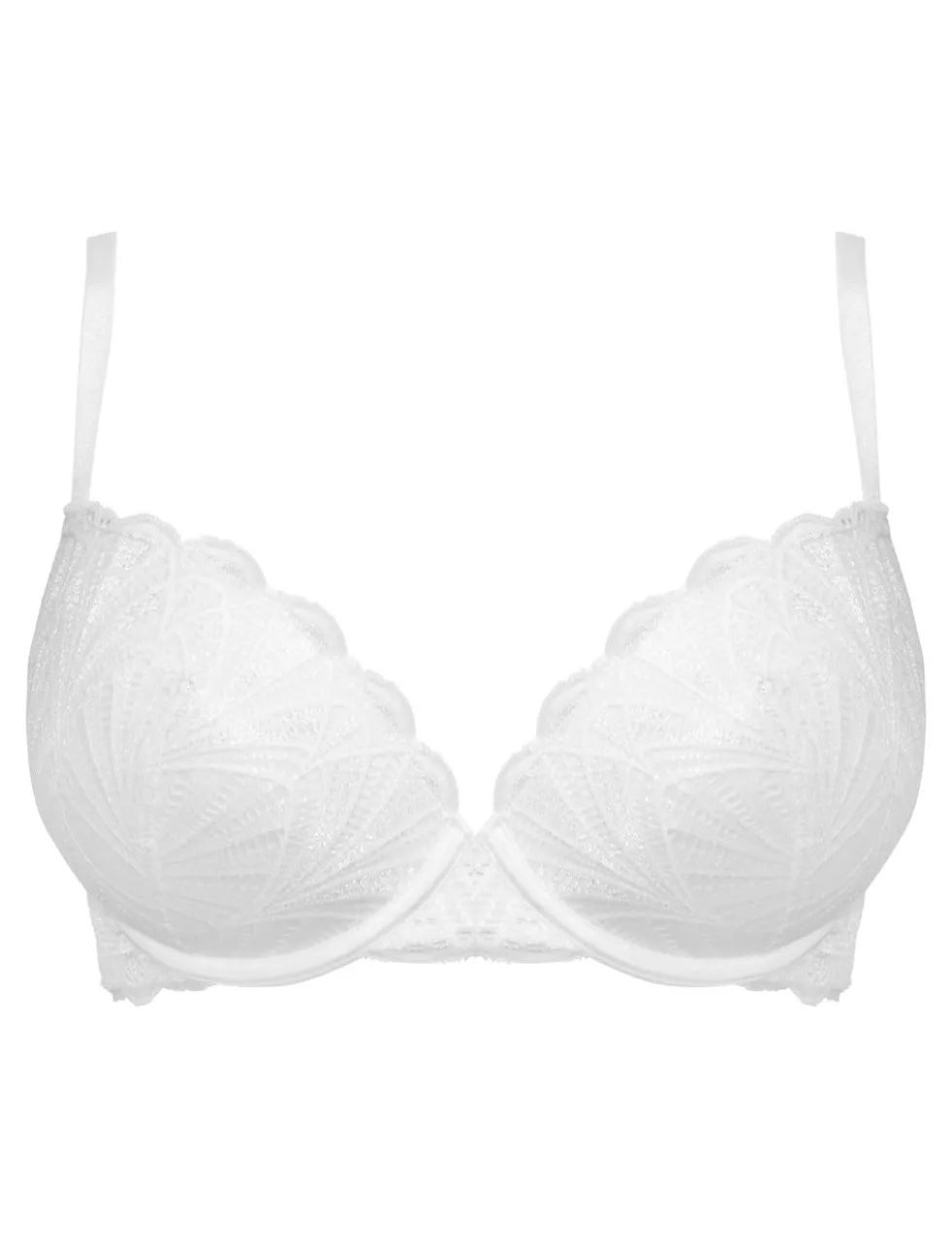 New Romance Lace Wired Push-Up Bra (A-DD)