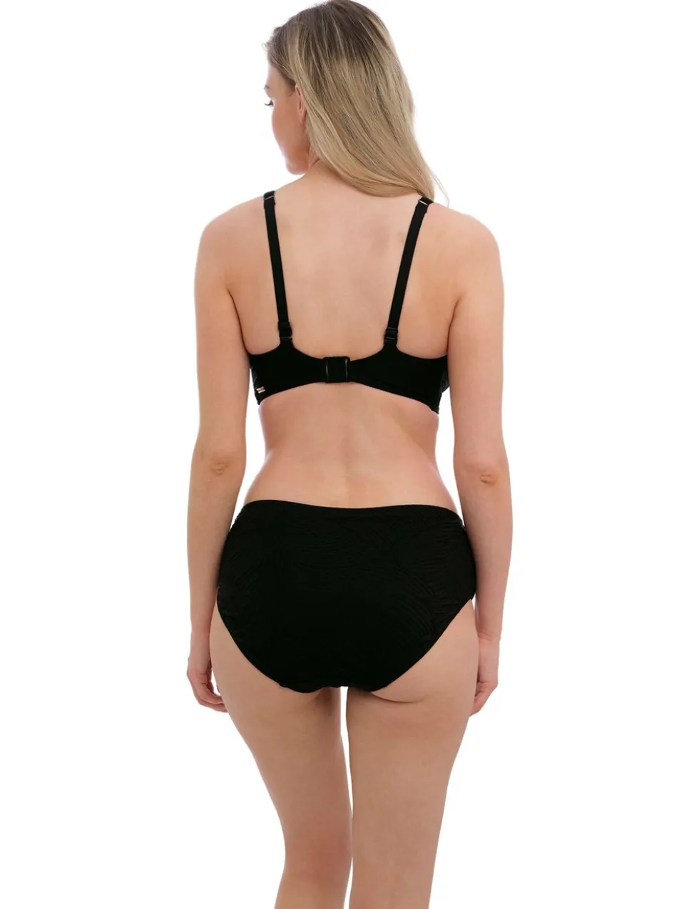 Ottawa Deep Gathered Brief