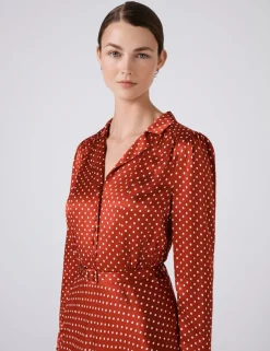 Polka Dot Collared Midi Tea Dress