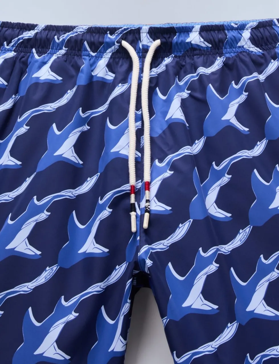 Printed Swim Shorts