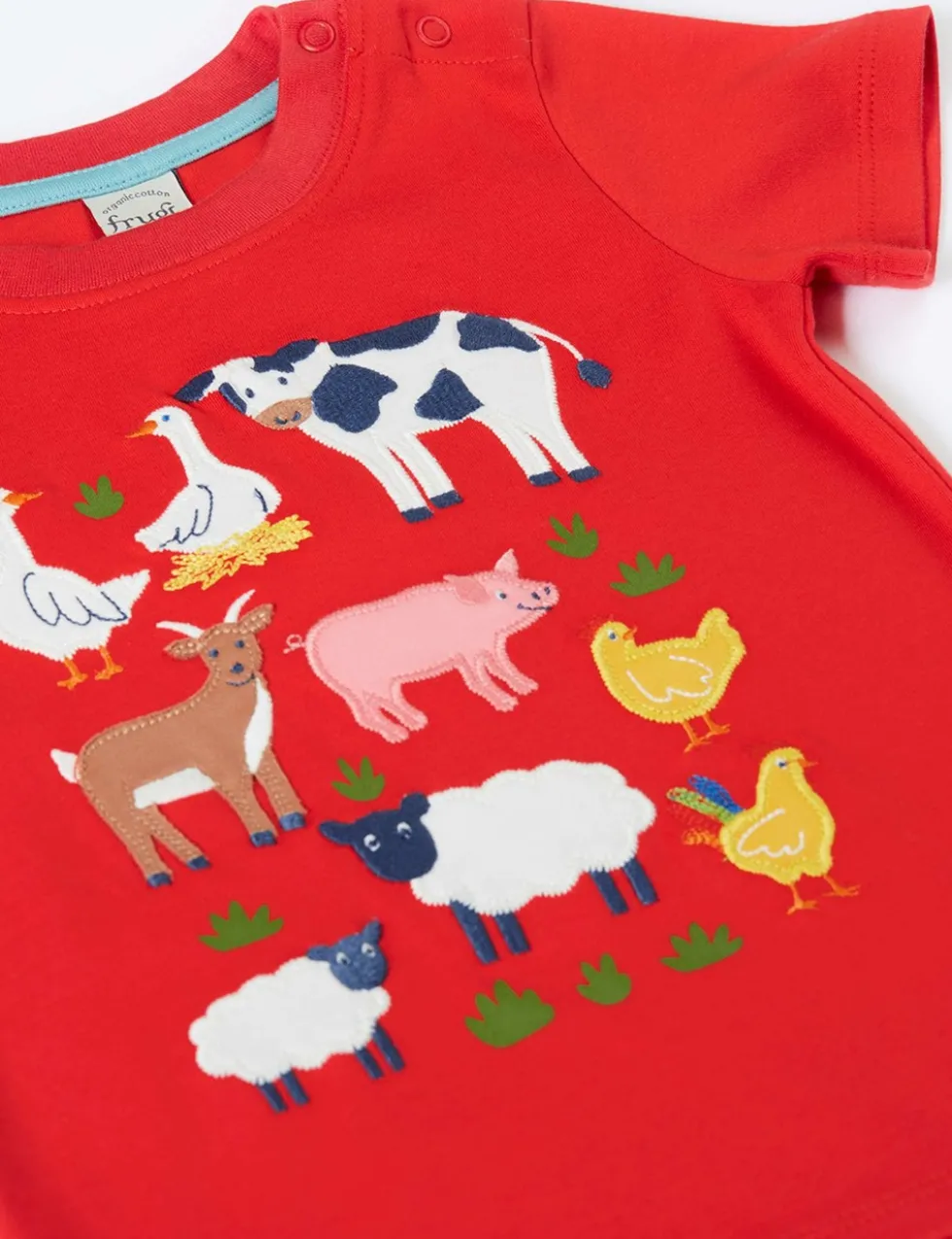 Pure Cotton Animal T-Shirt (3 Mths - 8 Yrs)