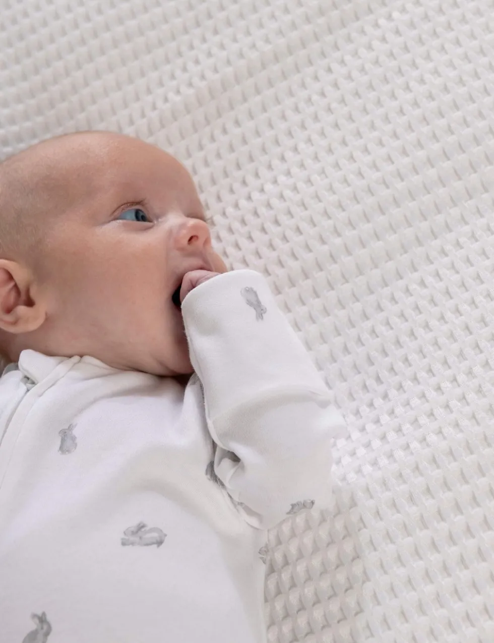 Pure Cotton Bunny Print Sleepsuit (6½lbs-6 Mths)