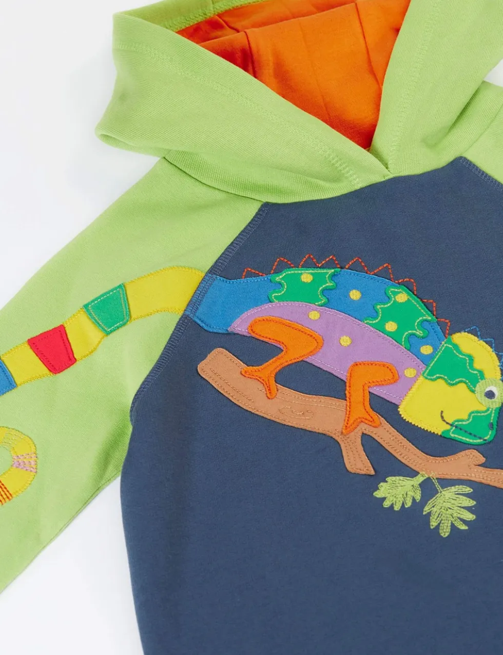 Pure Cotton Chameleon Appliqué Hoodie (2-12 Yrs)