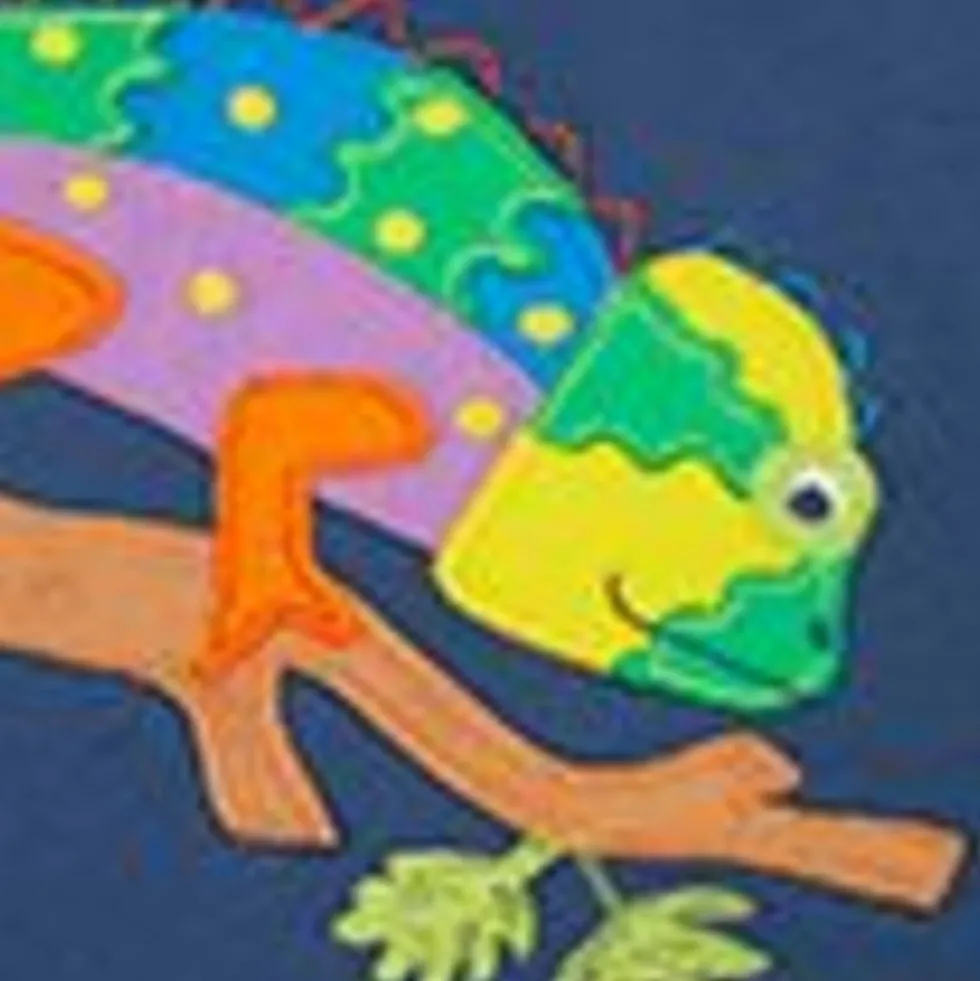 Pure Cotton Chameleon Appliqué Hoodie (2-12 Yrs)