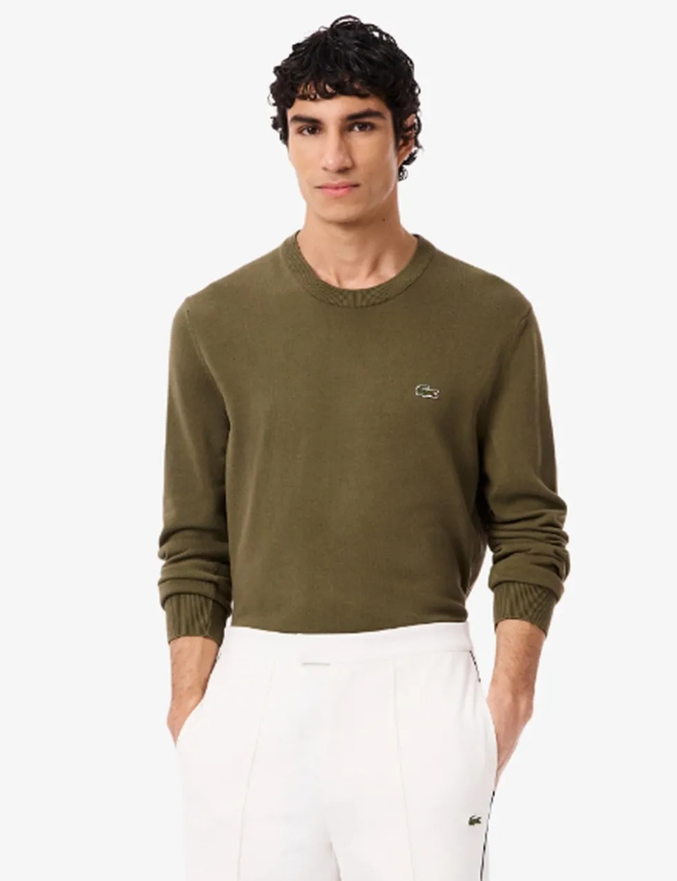 Pure Cotton Crew Neck Sweatshirt