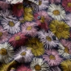 Pure Cotton Floral Collared Shirt