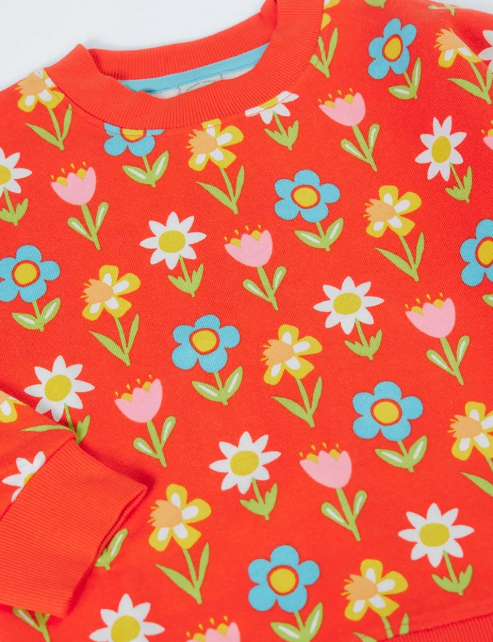 Pure Cotton Printed Sweatshirt (1-10 Yrs)