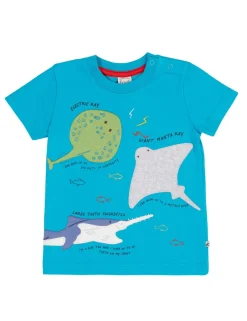 Pure Cotton Sealife Applique T-Shirt (1-10 Yrs)