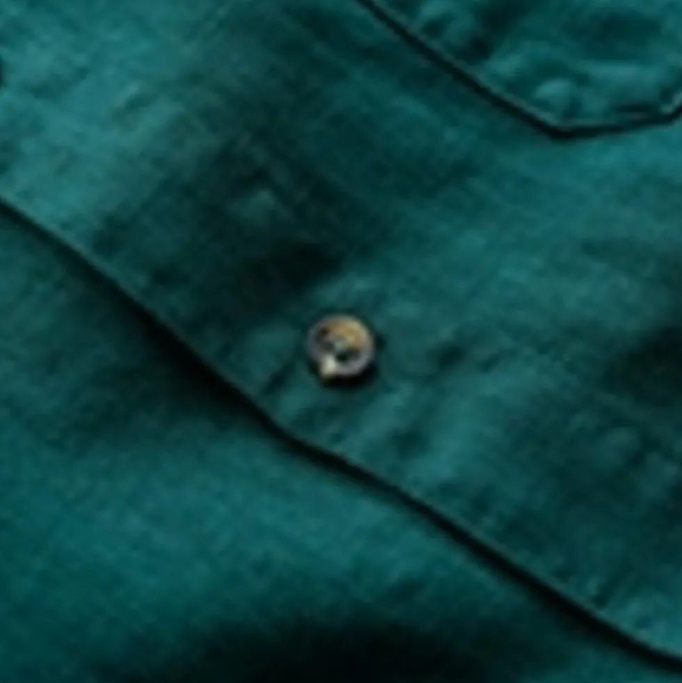 Pure Linen Shirt