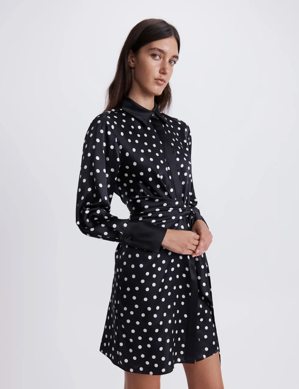 Pure Silk Polka Dot Mini Shirt Dress