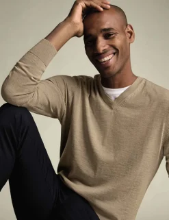 Pure Wool V-Neck Jumper