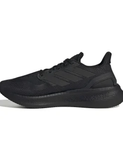 Pureboost 5 Trainers