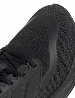 Pureboost 5 Trainers