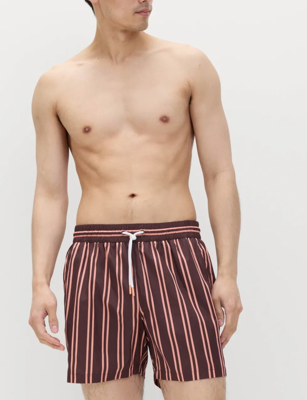 Quick Dry Striped Swim Shorts