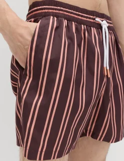 Quick Dry Striped Swim Shorts