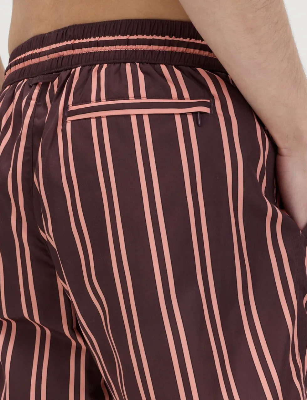 Quick Dry Striped Swim Shorts