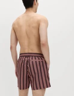 Quick Dry Striped Swim Shorts