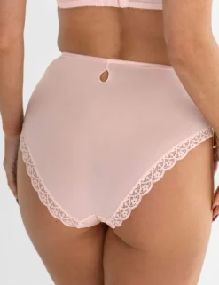 Rebel Full Briefs