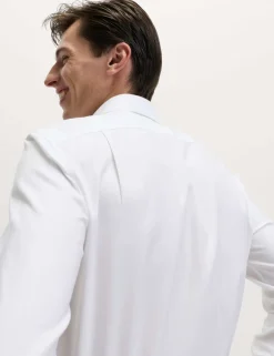 Regular Fit 2 Inch Shorter Ultimate Non Iron Twill Shirt