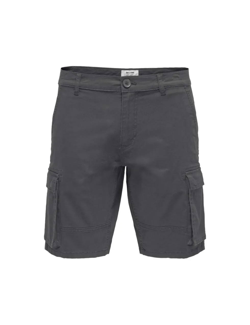 Regular Fit Cargo Shorts