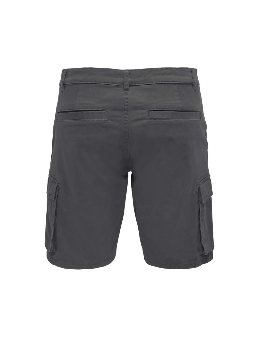 Regular Fit Cargo Shorts