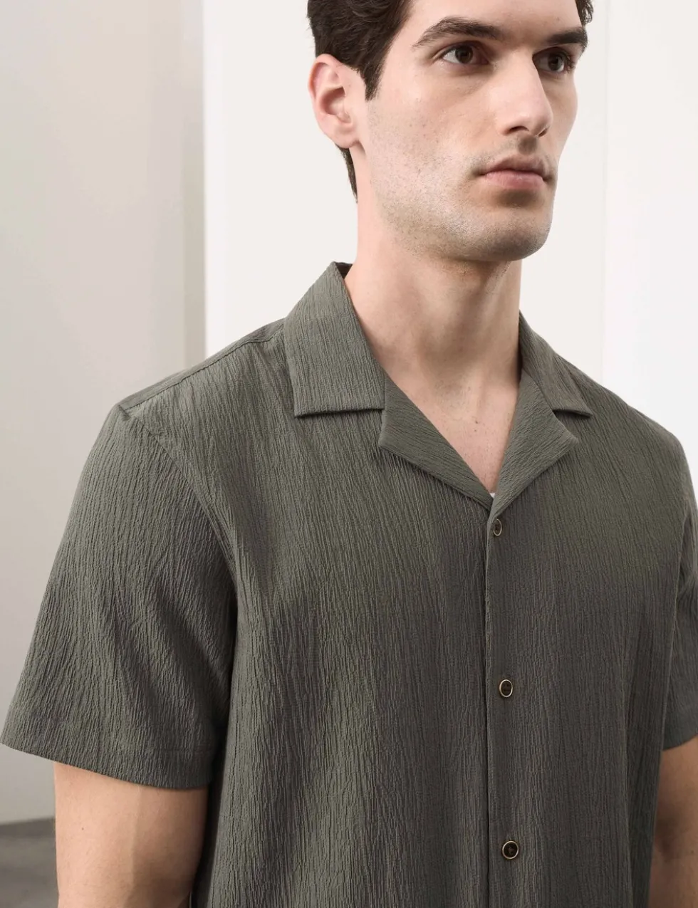 Regular Fit Crinkle Seersucker Shirt